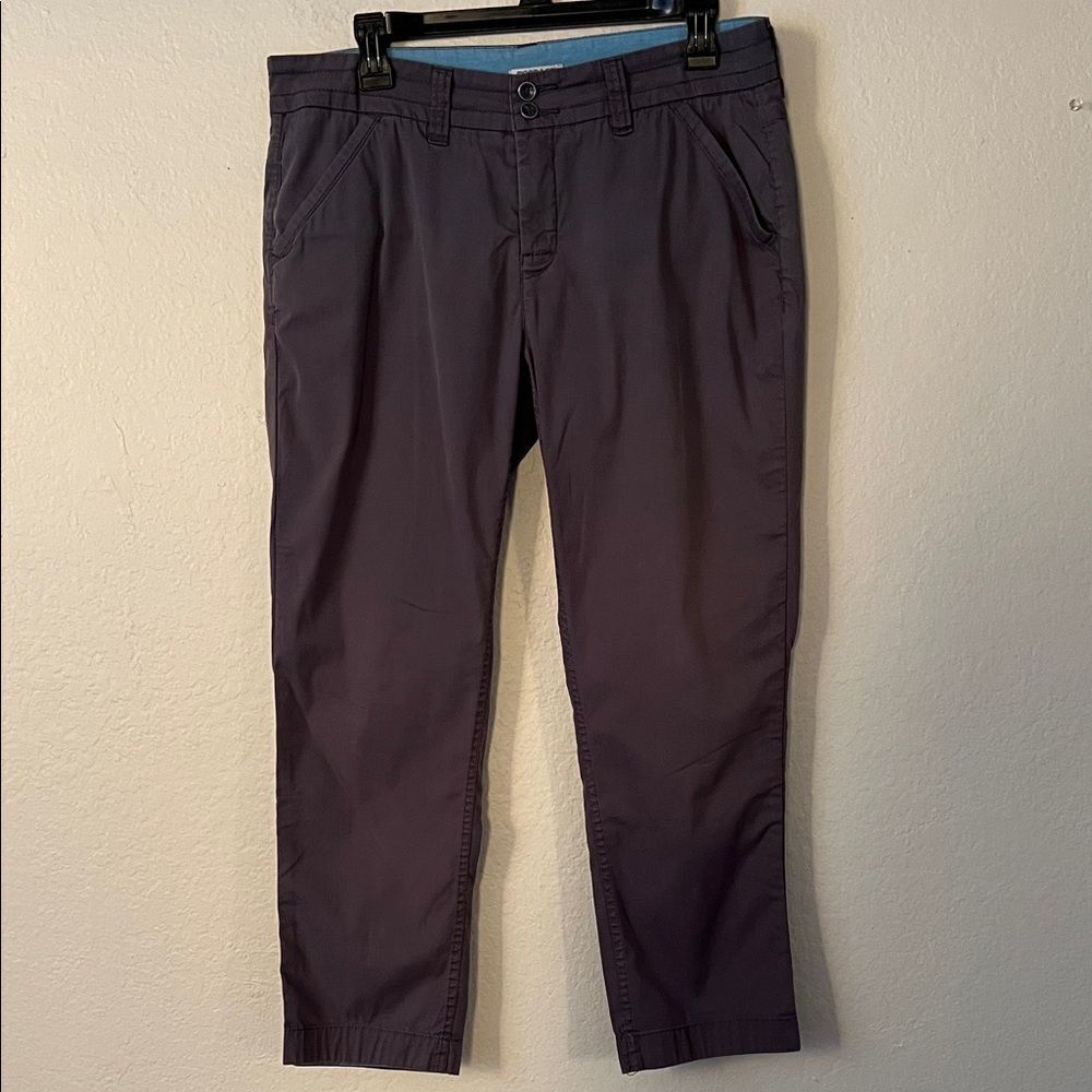 Toad & Co Women's Gray Organic Cotton Pants in Size 10